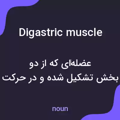 معنی digastric muscle به فارسی معنی digastric muscle به فارسی