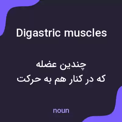 معنی digastric muscles به فارسی معنی digastric muscles به فارسی