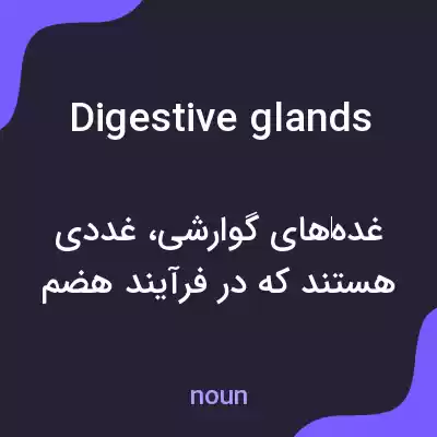 معنی digestive glands به فارسی معنی digestive glands به فارسی