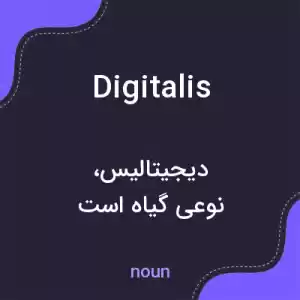 معنی digitalis به فارسی