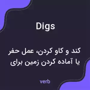 معنی digs به فارسی معنی digs به فارسی