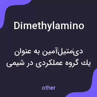 معنی dimethylamino به فارسی معنی dimethylamino به فارسی