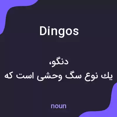 معنی dingos به فارسی