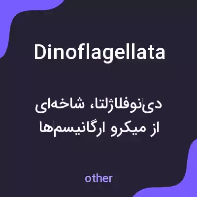 معنی dinoflagellata به فارسی معنی dinoflagellata به فارسی
