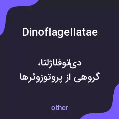 معنی dinoflagellatae به فارسی معنی dinoflagellatae به فارسی