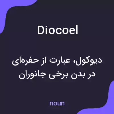 معنی diocoel به فارسی