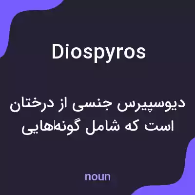 معنی diospyros به فارسی معنی diospyros به فارسی