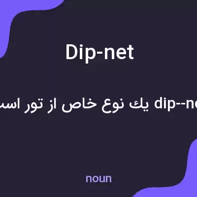 معنی dip-net به فارسی معنی dip-net به فارسی