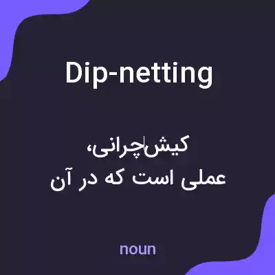 معنی dip-netting به فارسی