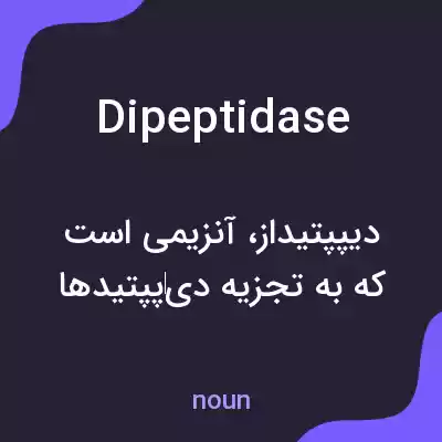 معنی dipeptidase به فارسی معنی dipeptidase به فارسی
