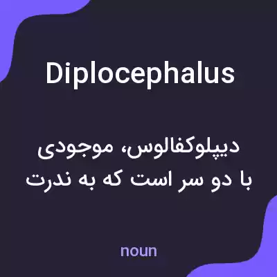 معنی diplocephalus به فارسی معنی diplocephalus به فارسی