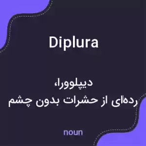 معنی diplura به فارسی معنی diplura به فارسی
