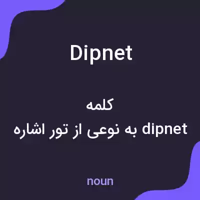 معنی dip net به فارسی معنی dip net به فارسی