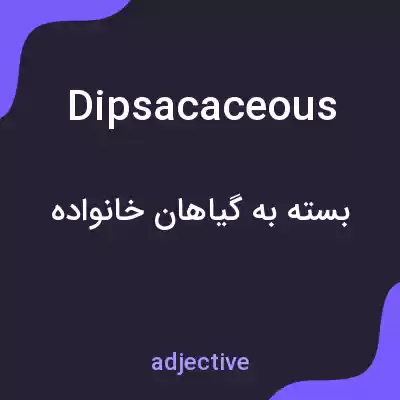 معنی dipsacaceous به فارسی معنی dipsacaceous به فارسی