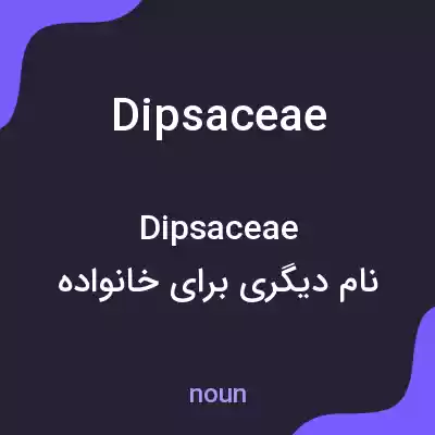 معنی dipsaceae به فارسی معنی dipsaceae به فارسی