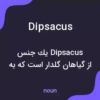 معنی dipsacus به فارسی معنی dipsacus به فارسی
