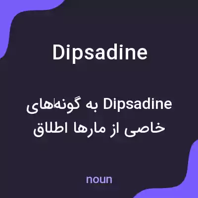 معنی dipsadine به فارسی معنی dipsadine به فارسی