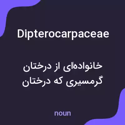 معنی dipterocarpaceae به فارسی