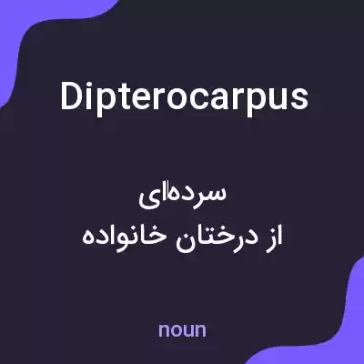 معنی dipterocarpus به فارسی معنی dipterocarpus به فارسی