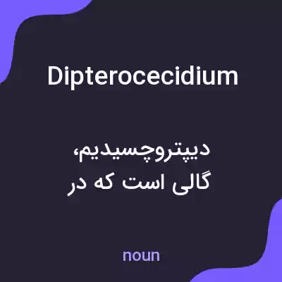 معنی dipterocecidium به فارسی معنی dipterocecidium به فارسی