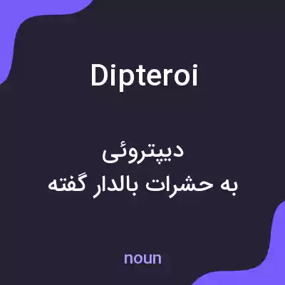 معنی dipteroi به فارسی معنی dipteroi به فارسی