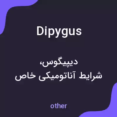 معنی dipygus به فارسی معنی dipygus به فارسی