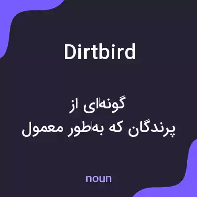 معنی dirtbird به فارسی معنی dirtbird به فارسی