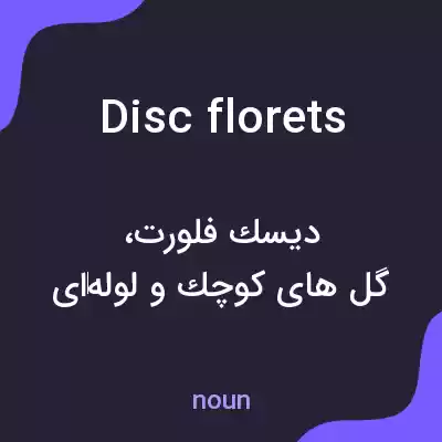 معنی disc florets به فارسی معنی disc florets به فارسی