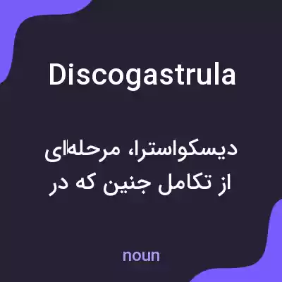 معنی discogastrula به فارسی معنی discogastrula به فارسی