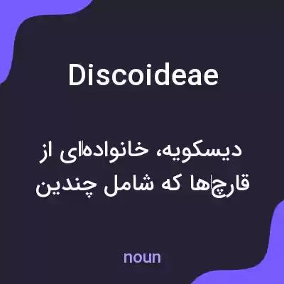 معنی discoideae به فارسی