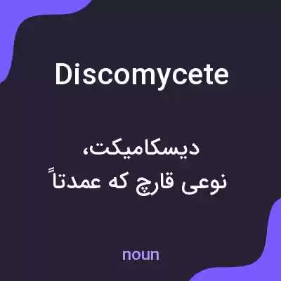 معنی discomycete به فارسی معنی discomycete به فارسی