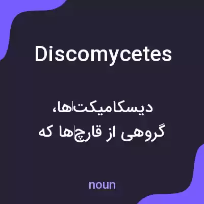 معنی discomycetes به فارسی معنی discomycetes به فارسی
