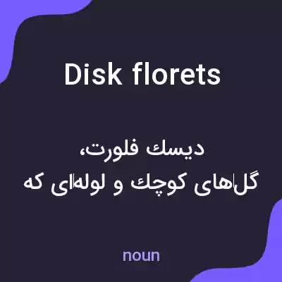 معنی disk florets به فارسی معنی disk florets به فارسی
