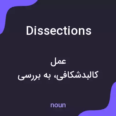 معنی dissections به فارسی معنی dissections به فارسی