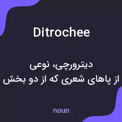 معنی ditrochee به فارسی