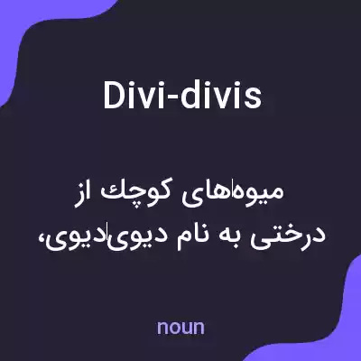 معنی divi-divis به فارسی معنی divi-divis به فارسی