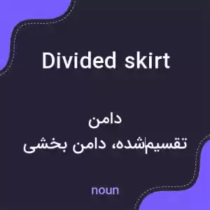 معنی divided skirt به فارسی معنی divided skirt به فارسی
