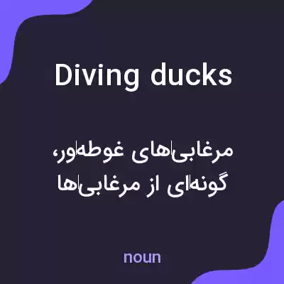 معنی diving ducks به فارسی معنی diving ducks به فارسی