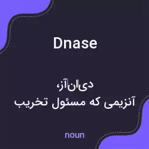 معنی dnase به فارسی