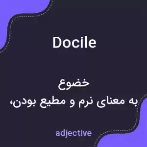 معنی docile به فارسی معنی docile به فارسی