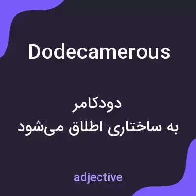 معنی dodecamerous به فارسی معنی dodecamerous به فارسی