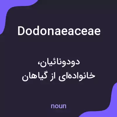 معنی dodonaeaceae به فارسی معنی dodonaeaceae به فارسی