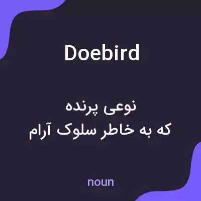 معنی doebird به فارسی معنی doebird به فارسی