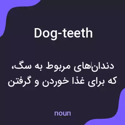 معنی dog-teeth به فارسی معنی dog-teeth به فارسی