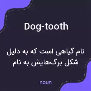 معنی dog-tooth به فارسی معنی dog-tooth به فارسی
