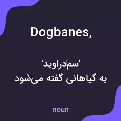 معنی dogbanes, به فارسی معنی dogbanes, به فارسی