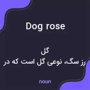 معنی dog rose به فارسی معنی dog rose به فارسی