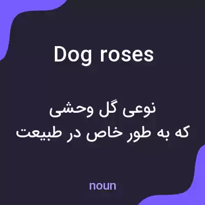 معنی dog roses به فارسی معنی dog roses به فارسی
