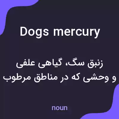 معنی dogs mercury به فارسی معنی dogs mercury به فارسی