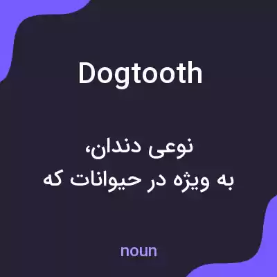 معنی dogtooth به فارسی معنی dogtooth به فارسی